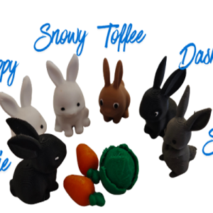 Bunny family