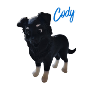 Cody