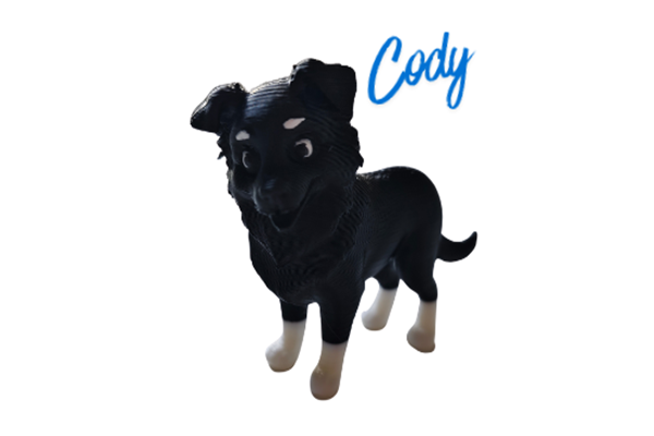 Cody with name