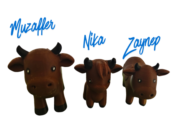 Cows brown with names