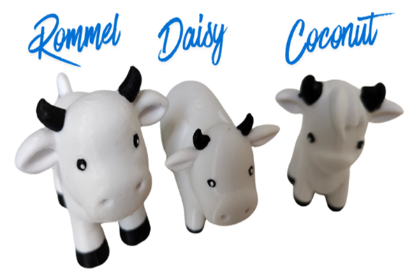 Cows white with names