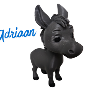 Adriaan Donkey
