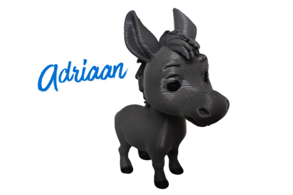Donkey loose with name