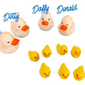 Duck family