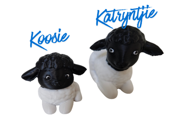 Sheep dorpers with names